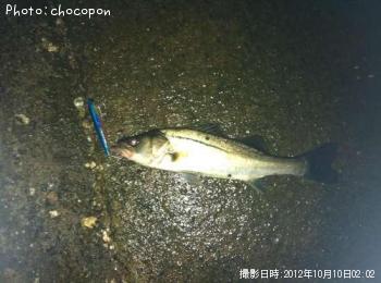 �����Х�