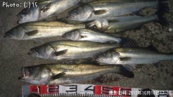 �����Х�