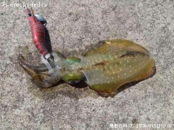 �����ꥤ��