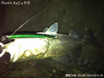 �����Х�