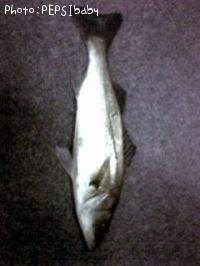 �����Х�