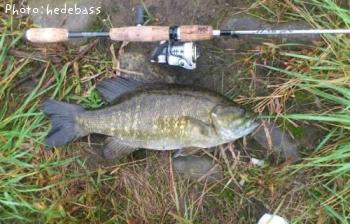 ���⡼��ޥ����Х�