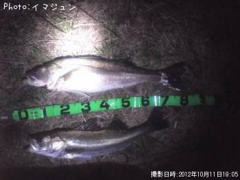 �����Х�