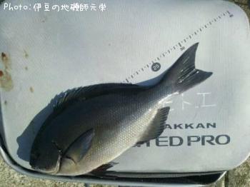 ÈøÄ¹¥á¥¸¥Ê