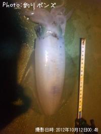 ¥¢¥ª¥ê¥¤¥«