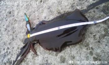 �����ꥤ��