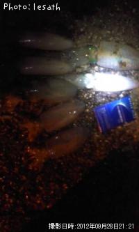 �����ꥤ��