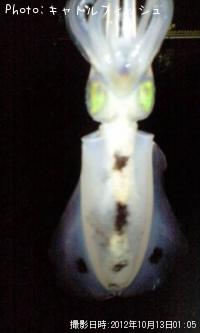 �����ꥤ��