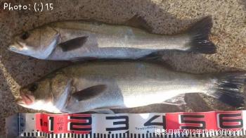 �����Х�