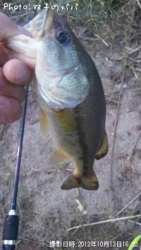 ¥Ö¥é¥Ã¥¯¥Ð¥¹