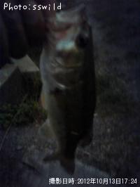 ¥Ö¥é¥Ã¥¯¥Ð¥¹