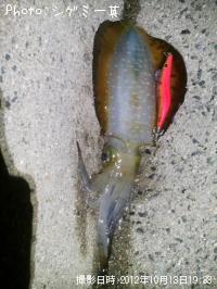 �����ꥤ��