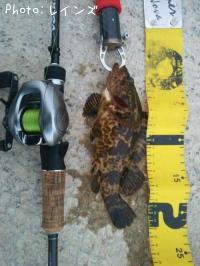 �����Υ���Х�