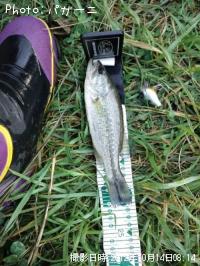 �֥�å��Х�