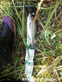 �֥�å��Х�