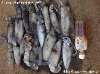 ¥¢¥ª¥ê¥¤¥«