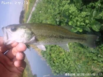 ¥Ö¥é¥Ã¥¯¥Ð¥¹