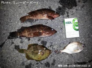 ¥¢¥¤¥Ê¥á¤Ê¤É