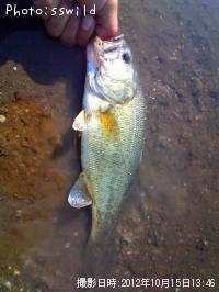 �֥�å��Х�