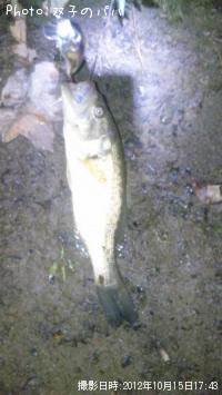 ¥Ö¥é¥Ã¥¯¥Ð¥¹