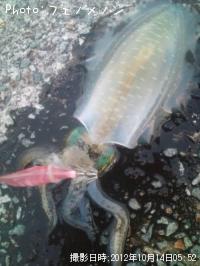 �����ꥤ��