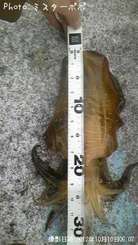 �����ꥤ��