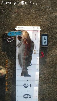 �����ʥ�