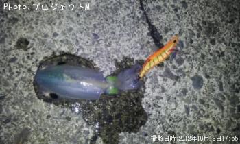 �����ꥤ��