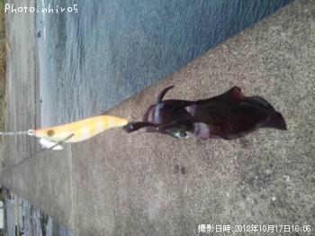 �����ꥤ��