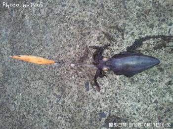 �����ꥤ��