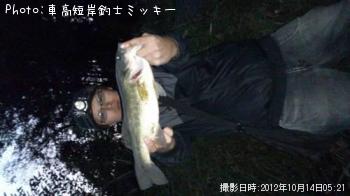 ¥Ö¥é¥Ã¥¯¥Ð¥¹