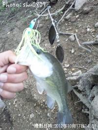 �֥�å��Х�