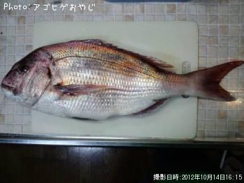 �ޥ���