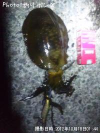 �����ꥤ��