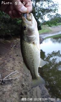 ¥Ö¥é¥Ã¥¯¥Ð¥¹