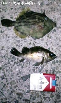 ¥á¥Ð¥ë¡õ¥«¥ï¥Ï¥®