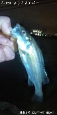 �����Х�