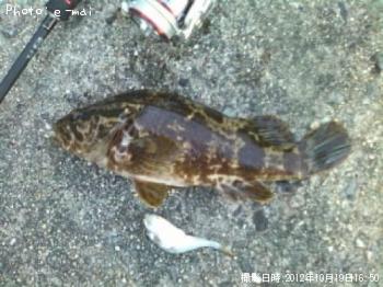 �����Υ���Х�