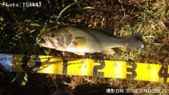 �֥�å��Х�