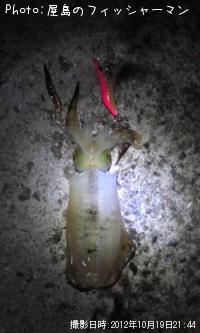 �����ꥤ��