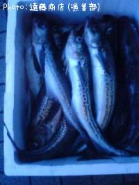 ��������í