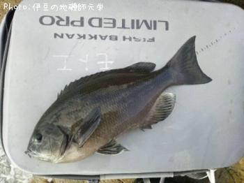 ¸ýÂÀ¥á¥¸¥Ê