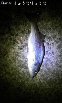 �����Х�