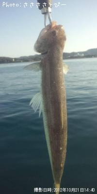 ���С�����