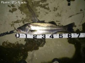 �����Х�