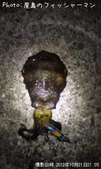 �����ꥤ��