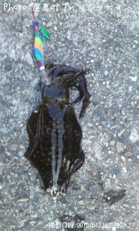 ¥¢¥ª¥ê¥¤¥«