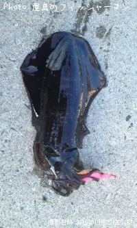 ¥¢¥ª¥ê¥¤¥«