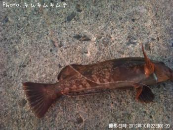 �����ʥ�