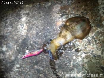 �����ꥤ��